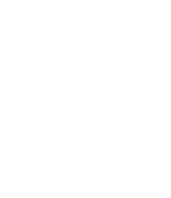 Anq logo